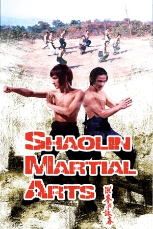 Shaolin Martial Arts poszter