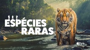 The Wild Ones kép