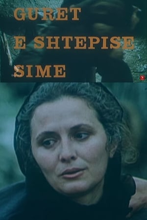 Gurët e shtëpisë sime