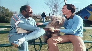 Here's Boomer Season 1 Ep.16 16. epizód
