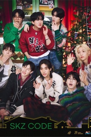 스키즈 코드 poszter