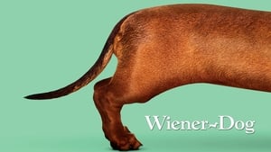 Wiener-Dog háttérkép