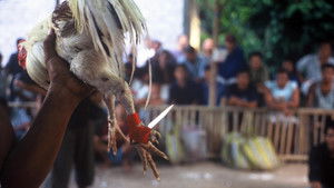 The Beast Within háttérkép