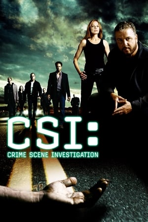 CSI: A helyszínelők poszter