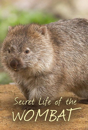 Secret Life of the Wombat