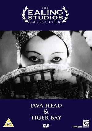 Java Head