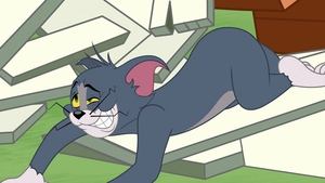 A Tom és Jerry-show 4. évad Ep.23 23. epizód