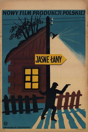 Jasne łany poszter