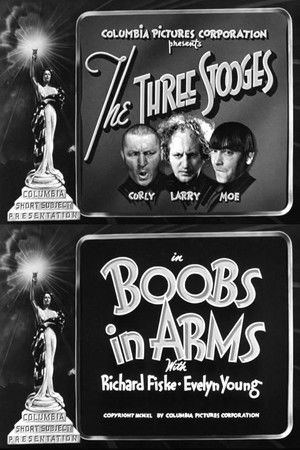 Boobs in Arms poszter