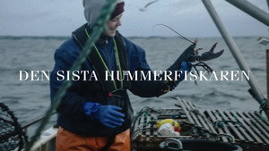 Den sista hummerfiskaren háttérkép