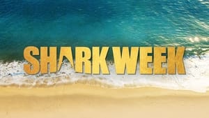 Shark Week kép