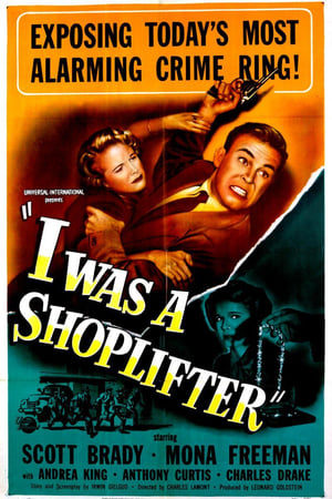 I Was a Shoplifter poszter