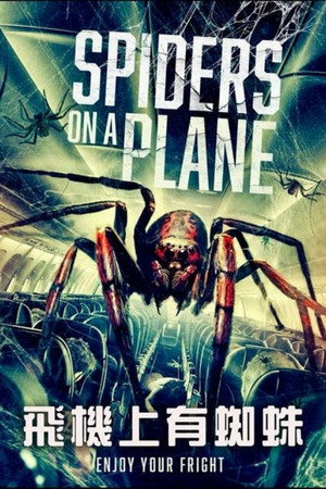 Spiders on a Plane poszter