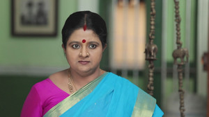 சின்னதம்பி Season 1 Ep.107 107. epizód