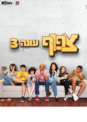 צפוף