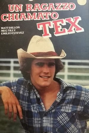 Tex poszter