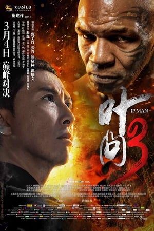 Ip Man - A védelmező poszter