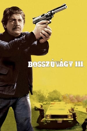 Bosszúvágy 3. - A terror utcája