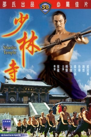 Shaolin templom poszter