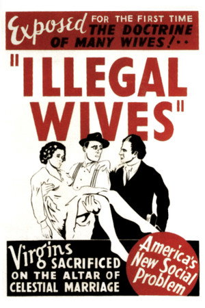 Polygamy poszter