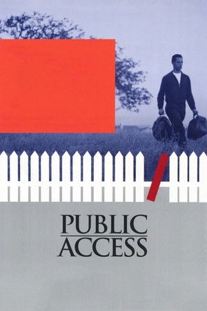 Public Access poszter