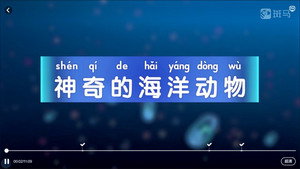 斑马百科 5. évad Ep.12 12. epizód
