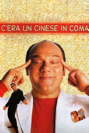 C'era un cinese in coma poszter