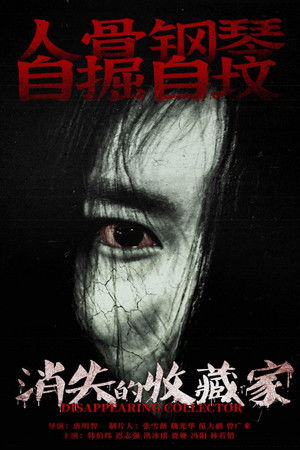 消失的收藏家 poszter