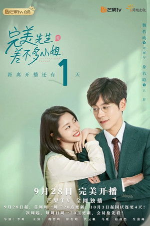 完美先生和差不多小姐 poszter