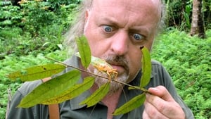 Bill Bailey's Jungle Hero 1. évad Ep.1 1. epizód