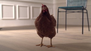 L’occhio della Gallina háttérkép