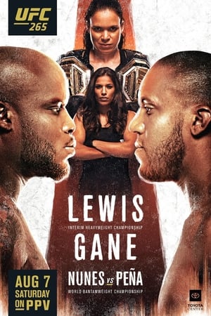 UFC 265: Lewis vs. Gane poszter