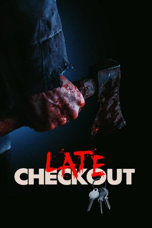 Late Checkout poszter
