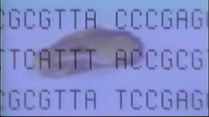 The Real Jurassic Park háttérkép