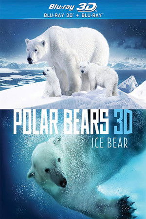 Polar Bears: Ice Bear poszter