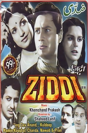 Ziddi poszter
