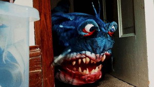 Doll Shark háttérkép