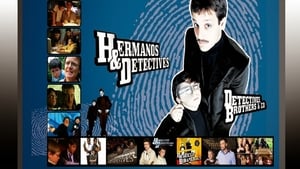 Hermanos y detectives kép