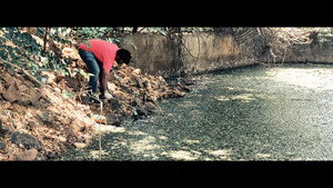 Eighth Hill - A Sacred Revolution: Tirupati's Dream without Plastic háttérkép