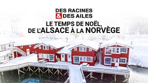 Des racines & des ailes 29. évad Ep.7 7. epizód