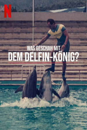 Mi történt a delfinkirállyal? poszter