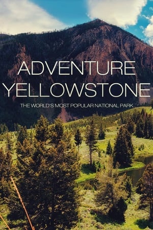 Adventure Yellowstone - Der Ruf der Wildnis poszter