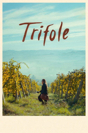 Trifole poszter