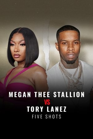 Megan Thee Stallion és Tory Lanez - öt lövés poszter