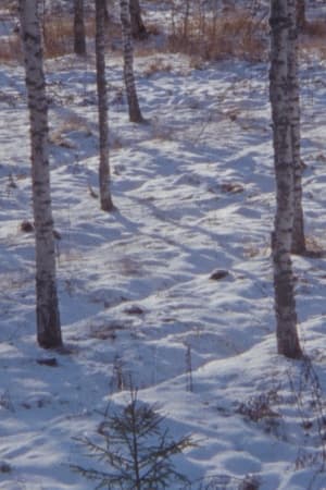 Haukijärvi, February