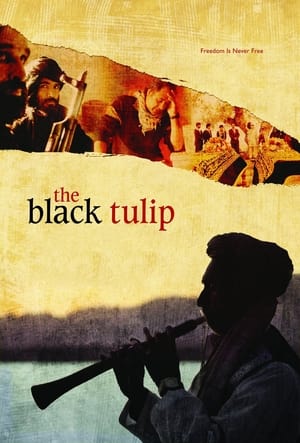 The Black Tulip poszter