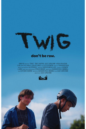 Twig poszter
