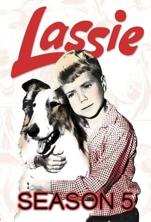 Lassie