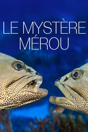 Le Mystère Mérou poszter