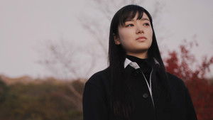 白の花実 háttérkép